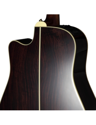 Takamine P5DC
