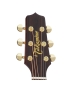 Takamine P5DC