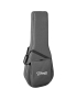 Takamine P5DC