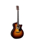 Martin GPC-13E Ziricote Burst