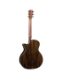 Martin GPC-13E Ziricote Burst