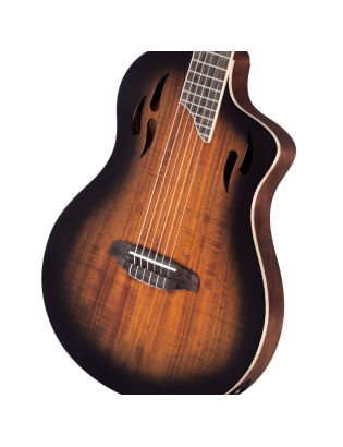 Ortega RTPDLX-ACA