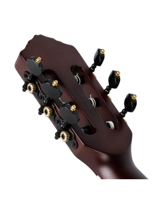 Ortega RTPDLX-ACA