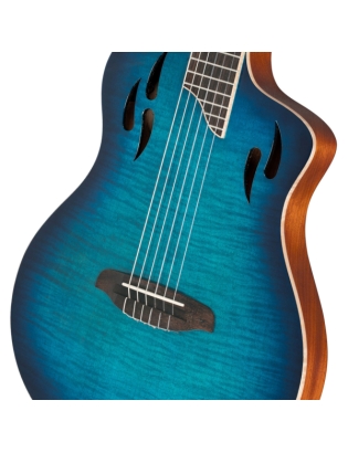 Ortega RTPDLX-FMA