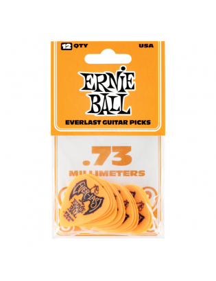 Ernie Ball 9190 Everlast...