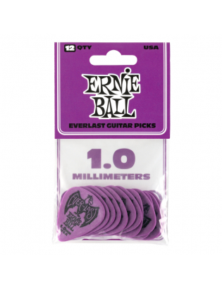 Ernie Ball 9193 Everlast...