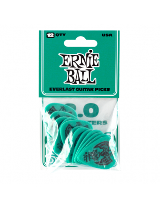 Ernie Ball 9196 Everlast...