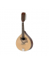 GEWA Flachmandoline Pro Arte Model 2