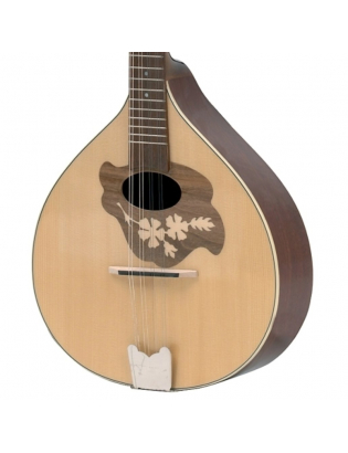 GEWA Flachmandoline Pro Arte Model 2