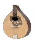 GEWA Flachmandoline Pro Arte Model 2