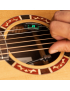 Crafter VL D-22E VVS
