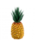 NINO 595 Pineapple Shaker