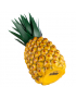 NINO 595 Pineapple Shaker