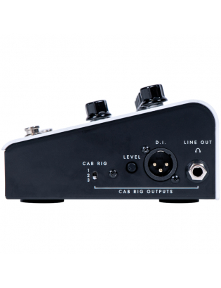 Blackstar Dept. 10 AMPED 1