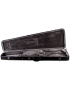 Epiphone Thunderbird Hard Case