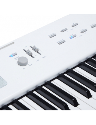 Kurzweil KaE1-WH