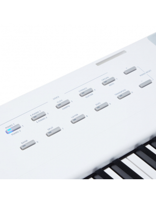 Kurzweil KaE1-WH
