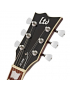 ESP LTD EC-256 FM LD