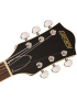 Gretsch G2420T Streamliner™ IL RBSTO