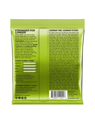 Ernie Ball 2021 Paradigm Regular Slinky