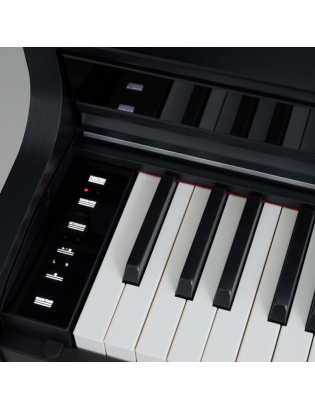 Casio AP-S450 BK