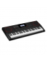 Casio CT-X3000