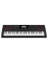 Casio CT-X3000