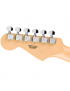 Fender® Standard Stratocaster® HSS MN CND