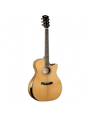 Cort Gold Edge