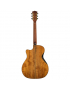 Cort Gold Edge