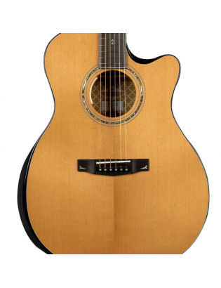 Cort Gold Edge