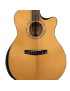 Cort Gold Edge