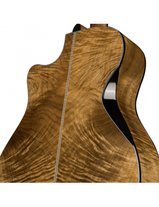 Cort Gold Edge