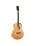 Cort Gold Passion