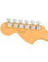 Fender® American Pro II Telecaster® Deluxe MN MSFG
