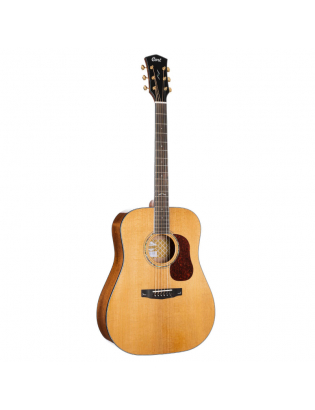 Cort Gold D6
