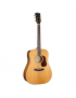 Cort Gold D6
