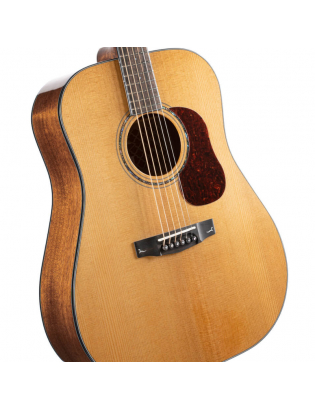 Cort Gold D6