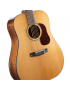Cort Gold D6