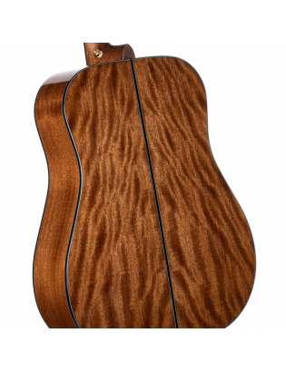 Cort Gold D6