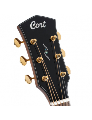 Cort Gold D6