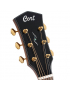 Cort Gold D6