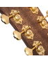 Cort Gold D6