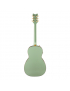 Gretsch G5021E Rancher™ Penguin™ Parlor MNT MET