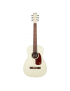 Gretsch Limited Edition Jim Dandy™ Parlor VWT