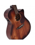 Ditson GC-15E Aged