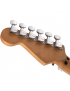 EVH® Striped Series Frankie RBW Relic
