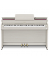 Casio AP-300 GB