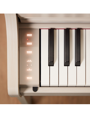 Casio AP-300 GB