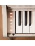 Casio AP-300 GB